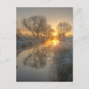 Sonnenaufgang braucht den Nebel des frühen Morgens Postkarte