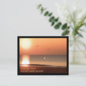 Sonnenaufgang, Delphine und Schluchten Postkarte (Stehend Vorderseite)