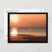 Sonnenaufgang, Delphine und Schluchten Postkarte (Vorne/Hinten)