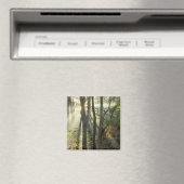 Sonnenaufgang durch Eichen- und Hickorenwald, Magnet (In Situ (Geschirrspüler))