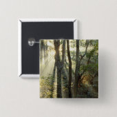Sonnenaufgang durch Eichen- und Hickory-Wald, Button (Vorne & Hinten)