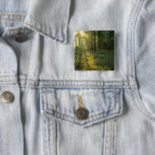 Sonnenaufgang durch Eichen- und Hickory-Wald, Mamm Button (Beispiel)