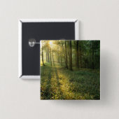 Sonnenaufgang durch Eichen- und Hickory-Wald, Mamm Button (Vorne & Hinten)