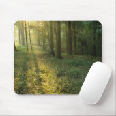 Sonnenaufgang durch Eichen- und Hickory-Wald, Mamm Mousepad (Mit Mouse)