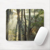 Sonnenaufgang durch Eichen- und Hickory-Wald, Mousepad (Mit Mouse)