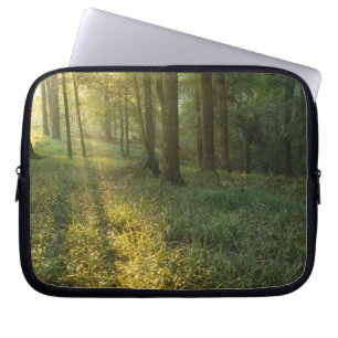 Sonnenaufgang durch Eichen- und Hickorywald, Mammo Laptopschutzhülle