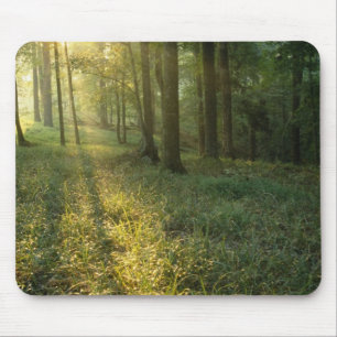 Sonnenaufgang durch Eichen- und Hickorywald, Mammo Mousepad
