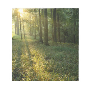 Sonnenaufgang durch Eichen- und Hickorywald, Mammo Notizblock