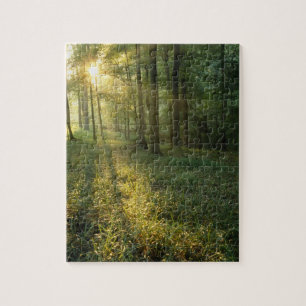 Sonnenaufgang durch Eichen- und Hickorywald, Mammo Puzzle