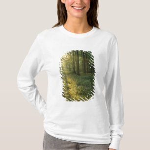 Sonnenaufgang durch Eichen- und Hickorywald, Mammo T-Shirt