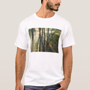 Sonnenaufgang durch Eichen- und Hickorywald, T-Shirt