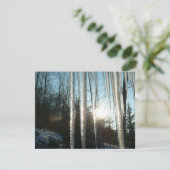 Sonnenaufgang durch Eiskeln Winternaturfotografie (Stehend Vorderseite)