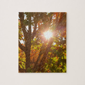 Sonnenaufgang durch herbstlich gefärbten Baum Fall Puzzle
