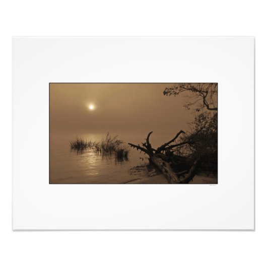 Sonnenaufgang durch Nebel auf Winyah Bay Fotodruck (Vorne)