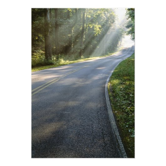 Sonnenaufgang durch Nebel entlang des Green River Fotodruck (Vorne)