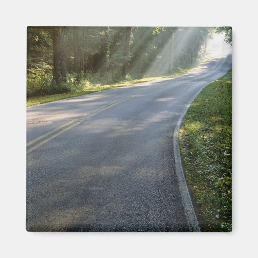 Sonnenaufgang durch Nebel entlang des Green River Magnet (Vorne)