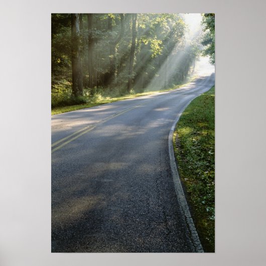 Sonnenaufgang durch Nebel entlang des Green River Poster (Vorne)