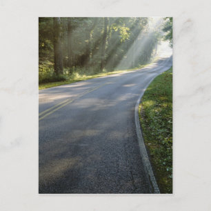 Sonnenaufgang durch Nebel entlang des Green River Postkarte