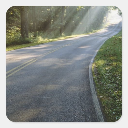 Sonnenaufgang durch Nebel entlang des Green River Quadratischer Aufkleber (Vorderseite)