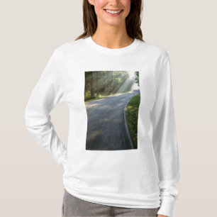 Sonnenaufgang durch Nebel entlang des Green River T-Shirt
