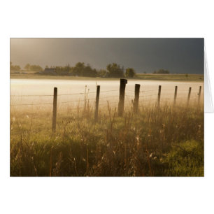 Sonnenaufgang erhellt Nebel entlang des Zauns nahe