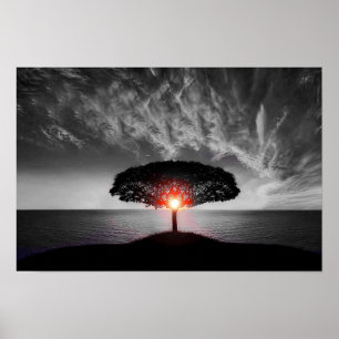 Sonnenaufgang: Farbschlauch Poster