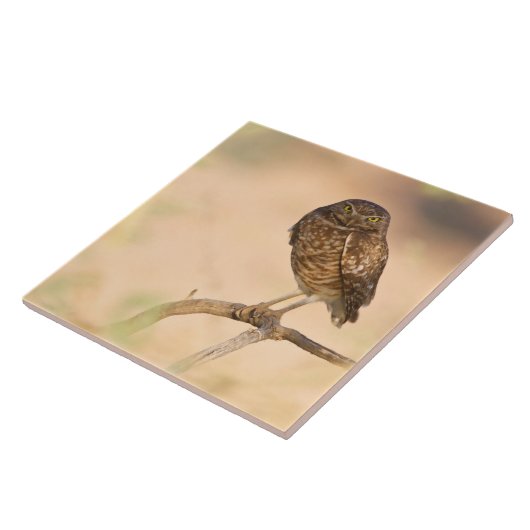 Sonnenaufgang Fliese (Seite)