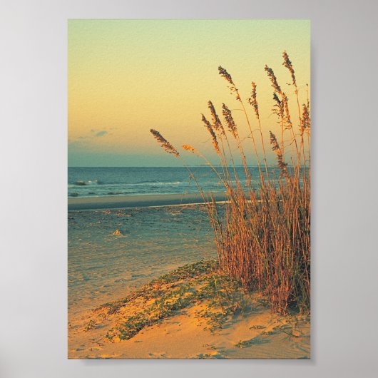 Sonnenaufgang Florida Beach Grass Poster drucken (Vorne)