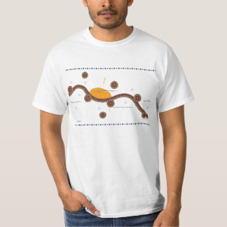 Sonnenaufgang, G.Schertz, T-Shirts