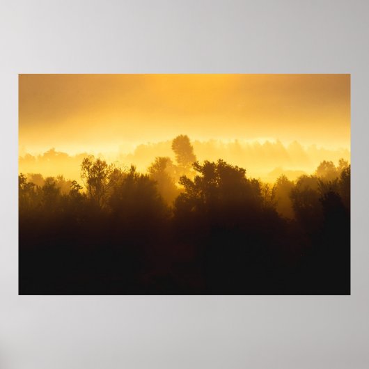 Sonnenaufgang hinter Nebelbäumen Poster (Vorne)
