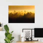 Sonnenaufgang hinter Nebelbäumen Poster (Heimbüro)