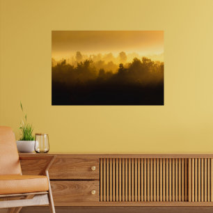 Sonnenaufgang hinter Nebelbäumen Poster