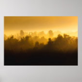 Sonnenaufgang hinter Nebelbäumen Poster (Vorne)