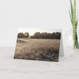 Sonnenaufgang im Bärental Trailhead Landschaft Karte