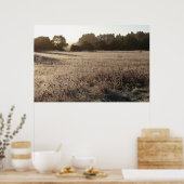 Sonnenaufgang im Bärental Trailhead Landschaft Poster (Küche)