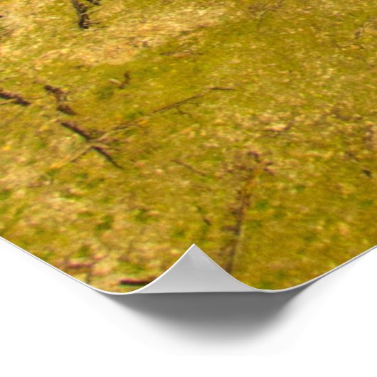 Sonnenaufgang im Bear Butte Staat Park, South Dako Poster (Ecke)