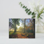 Sonnenaufgang im Herbstwald Postkarte (Stehend Vorderseite)