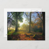 Sonnenaufgang im Herbstwald Postkarte (Vorne/Hinten)