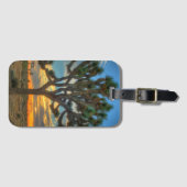 Sonnenaufgang im Joshua-Baum-Nationalpark Gepäckanhänger (Vorderseite (Horizontal))