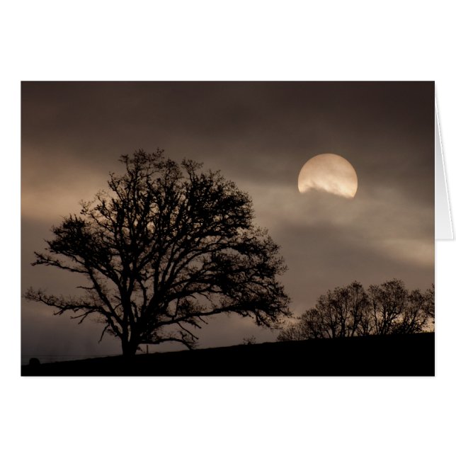 Sonnenaufgang im Umpqua-Tal (Vorderseite (Horizontal))