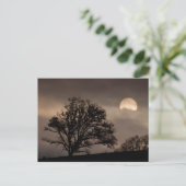 Sonnenaufgang im Umpqua-Tal Postkarte (Stehend Vorderseite)