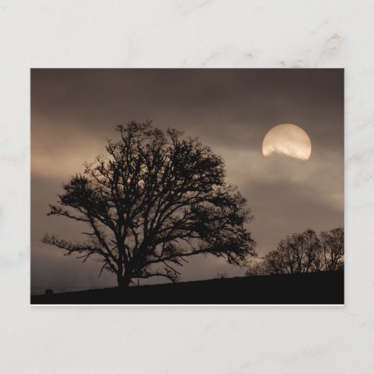 Sonnenaufgang im Umpqua-Tal Postkarte (Vorderseite)