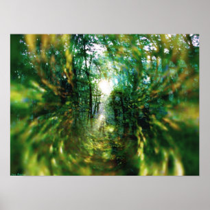 Sonnenaufgang im Wald 2 Poster