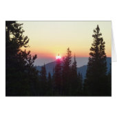 Sonnenaufgang im Wald am Rocky Mountain (Vorderseite (Horizontal))