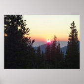 Sonnenaufgang im Wald am Rocky Mountain Poster (Vorne)