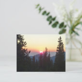 Sonnenaufgang im Wald am Rocky Mountain Postkarte (Stehend Vorderseite)