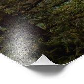 Sonnenaufgang im Yosemite National Park Foto (Ecke)