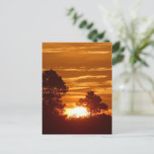 Sonnenaufgang in Louisiana Postkarte (Stehend Vorderseite)