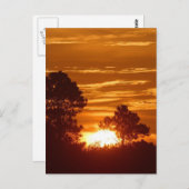 Sonnenaufgang in Louisiana Postkarte (Vorne/Hinten)