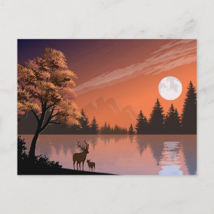 Sonnenaufgang Landschaft mit See und Deers-51207 Postkarte